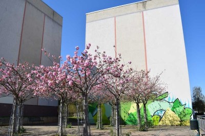 Familiennest sucht neue Bewohner