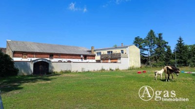 bezugsfreier 3-Seiten-Pferde-Hof mit großer Fläche und Sonnen-Grundstück im schönen Niederer Fläming