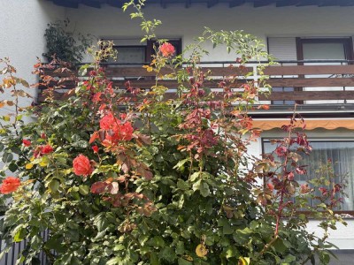 Ihr neues Zuhause zum Wohlfühlen – mit traumhaftem Garten und Ausblick