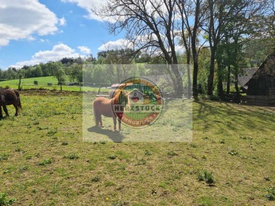 RESERVIERT! Uriges freistehendes Bauernhaus für 1-2 Familien, mit viel Platz zur Tierhaltung