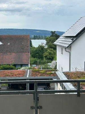 Exklusive, modernisierte 3-Zimmer-Wohnung mit Balkon und Einbauküche in Allensbach