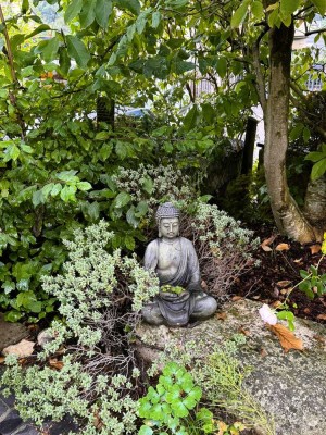 Die ideale Wohnung für Paare die Natur und Stadtnähe lieben!