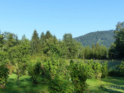 Wohnen wie in einer Doppelhaushälfte mit eigenem Garten in idyllischer Naturrandlage!