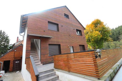 Großzügige Wohnung im 1. Obergeschoss eines modernisierten Mehrfamilienhauses