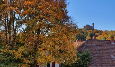 Moderne, außergewöhnliche Penthouse-Wohnung mit spektakulärem Blick auf die Burgen Weinheims