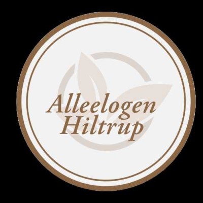 MS-Süd: Lifestyle und Ambiente - Die Alleelogen
