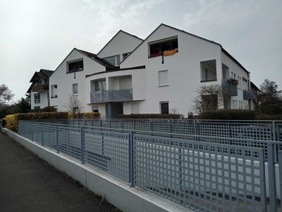 Modernisierte 2-Zimmer-Erdgeschosswohnung mit Terrasse          in Freiburg im Breisgau