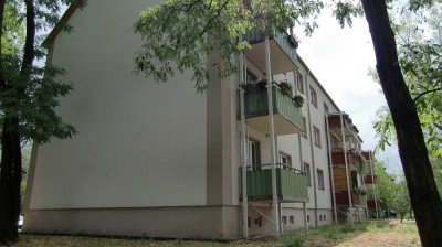 Renovierte 3-Raum-Wohnung