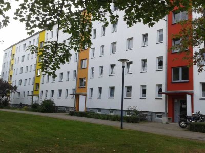 Frisch instandgesetzte 3 - Raumwohnung in einem ruhigen Haus!