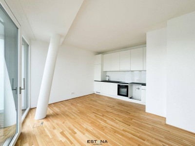 Sonnige Pärchenwohnung mit Donaublick - direkt bei U1