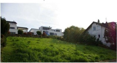 Ihr maßgeschneidertes Wohlfühl-Heim:  Bien-Zenker EVOLUTION 162