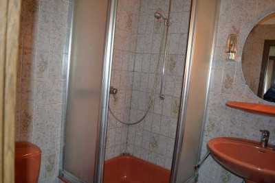 Altes Schätzchen sucht neue Familie!