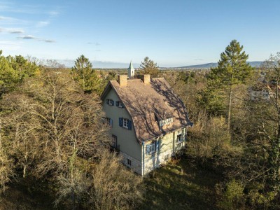 Rarität! Histroische Jahrhundertwende-Villa mit Privatpark und Wald | Blick in alle Himmelsrichtungen | Lichtdurchflutet