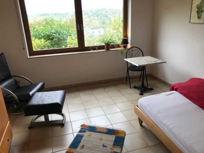 Einzimmerwohnung in Niedernhall