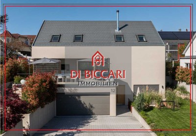 Moderne Villa mit ELW in Aussichtslage