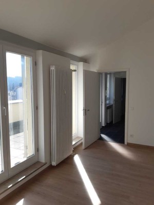 Helle Moderne 1 Zi Wohnung Dachterrasse renoviert