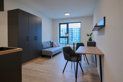 Stilvolle 1-Zimmer-Wohnung mit gehobener Innenausstattung in Nürnberg