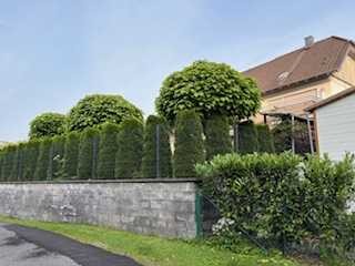 Ruhig gelegene 2-Zimmer Wohnung mit eigenem Garten