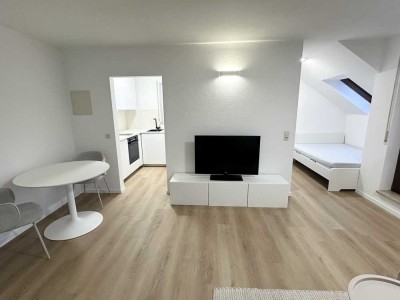 Helle 1,5-Zimmer Dachgeschosswohnung mit Weitblick Markgröningen möbliert & sofort frei - Nähe Bosch
