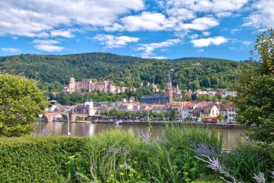 Einzigartige Wohnung mit Garten und Panoramablick auf das  Heidelberger Schloss und den Neckar
