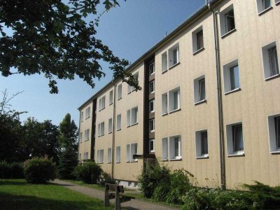 kautionsfrei - sanierte 3 Raumwohnung mit Balkon - Flemminger Weg 77a