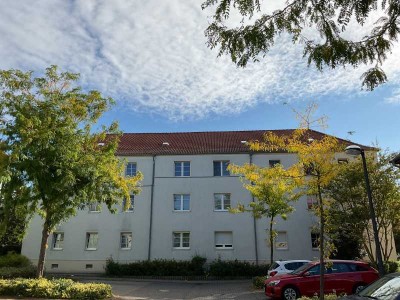 Neusanierte Wohnung!