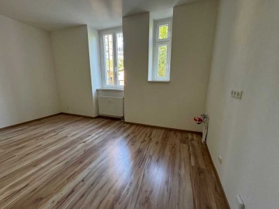 Schönes 1 Zimmer Appartment ab sofort zu vermieten