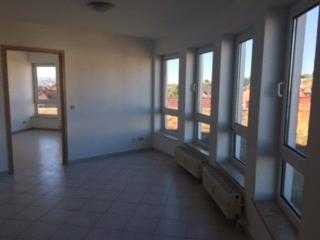 Nähe Stadtzentrum - wunderschönes 39m² Appartement