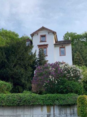 Schöne und frisch renovierte 4,5-Zimmer-Wohnung mit EBK in Neustadt