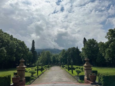 Herzlich willkommen im Erlenbad Resort