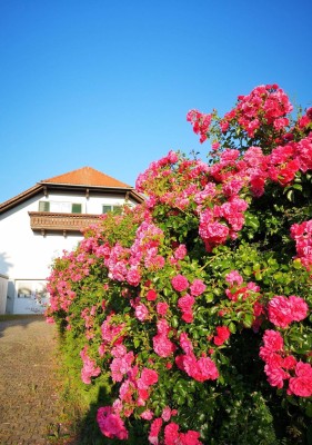 Traumhafte Landhaus-Villa mit großem XXL- Baugrund in einzigartiger Ortslage, großem Garten, Wiese, Panoramablick, viel Diskretion und noch mehr Potenzial, nah am alten Ortskern im VIP-Thermen-Kurort.
