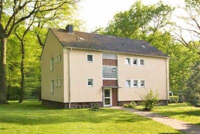 Wohnen am Waldrand, Erdgeschoss mit einer ebenerdige Dusche