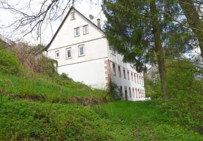 Historische Diamantschleiferei mit riesigem Waldgrundstück - viel Platz für Tiere & Autarkie