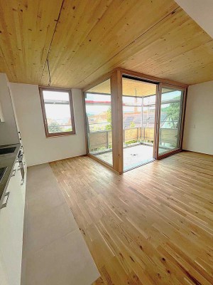 3Zi.-Neubau -ökologisch-hochwertig-hell-zentral-unverbaubare Aussicht