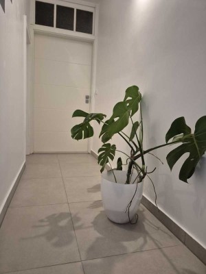 Exklusive 3,5-Raum-Wohnung mit gehobener Innenausstattung mit Terrasse in Stutensee, neu renoviert