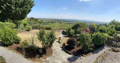 Ferienhaus mit einzigartigem Panoramablick an der Pfälzer Weinstraße