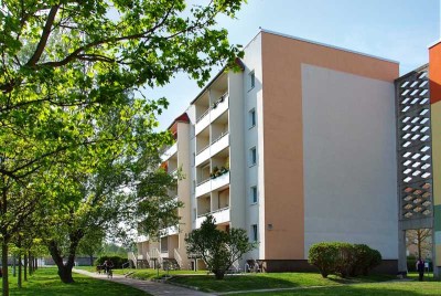 "Familienfreundliche" 4-Raum zu vermieten!