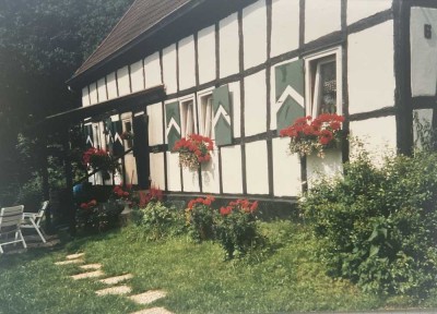 Sie lieben es beim Frühstück die Rehe an ihrem Fenster vorbeiziehen zu sehen? Dann sind sie richtig!