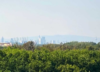 Penthouse am Ortseingang Heusenstamm + Waldrandlage + gepflegte Wohneinheit