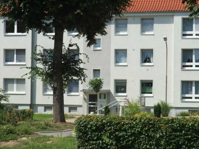 Gemütliche 1-Zimmer-Wohnung in Herzberg