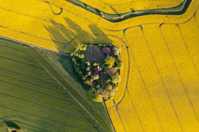 Ländliches Holzhaus / Grundstücksfläche 7.000 m²