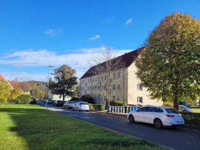 NEU sanierte 3-Raum-Wohnung mit neuer EINBAUKÜCHE zu vermieten