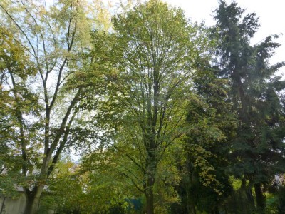 Frisch sanierte 2,5 Raum-Wohnung mit neuen Badezimmer auf 72,71m²