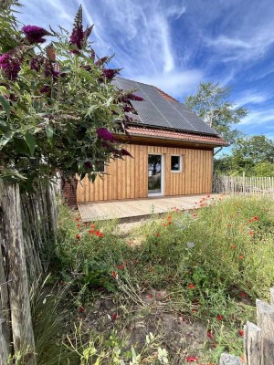 3 Zimmerwohnung mit 2 Terrassen