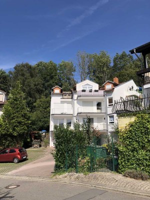 Sehr ruhig und sonnig gelegene 1,5 Zimmerwohnung am Waldrand in Heidelberg-Zeigelhausen