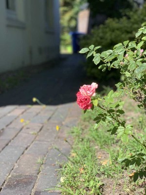 Ruhig gelegene 2-Zimmer Dachgeschoss Wohnung in Delmenhorst/ Stickgras