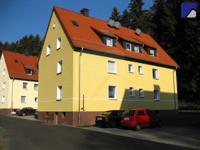 Lüdenscheid-Eggenscheid: Gepflegte 2-Zimmer-Wohnung Nähe Freisenberg