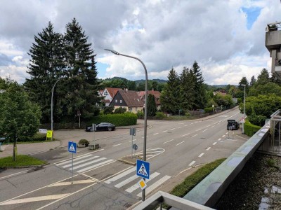 3 - Zi-Wohnung für Single/Paar mit  Balkon+grünem Weitblick in die Weinberge und über die Stadt