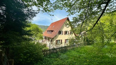 Burgblick - castle view - großzügiges Schwarzwaldhaus in Bad Liebenzell - huge Black Forets house!