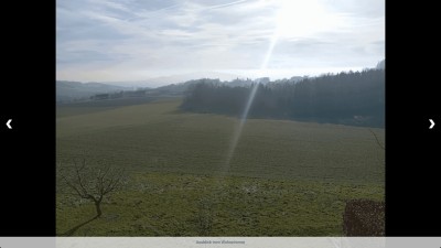 Mitbewohner gesucht